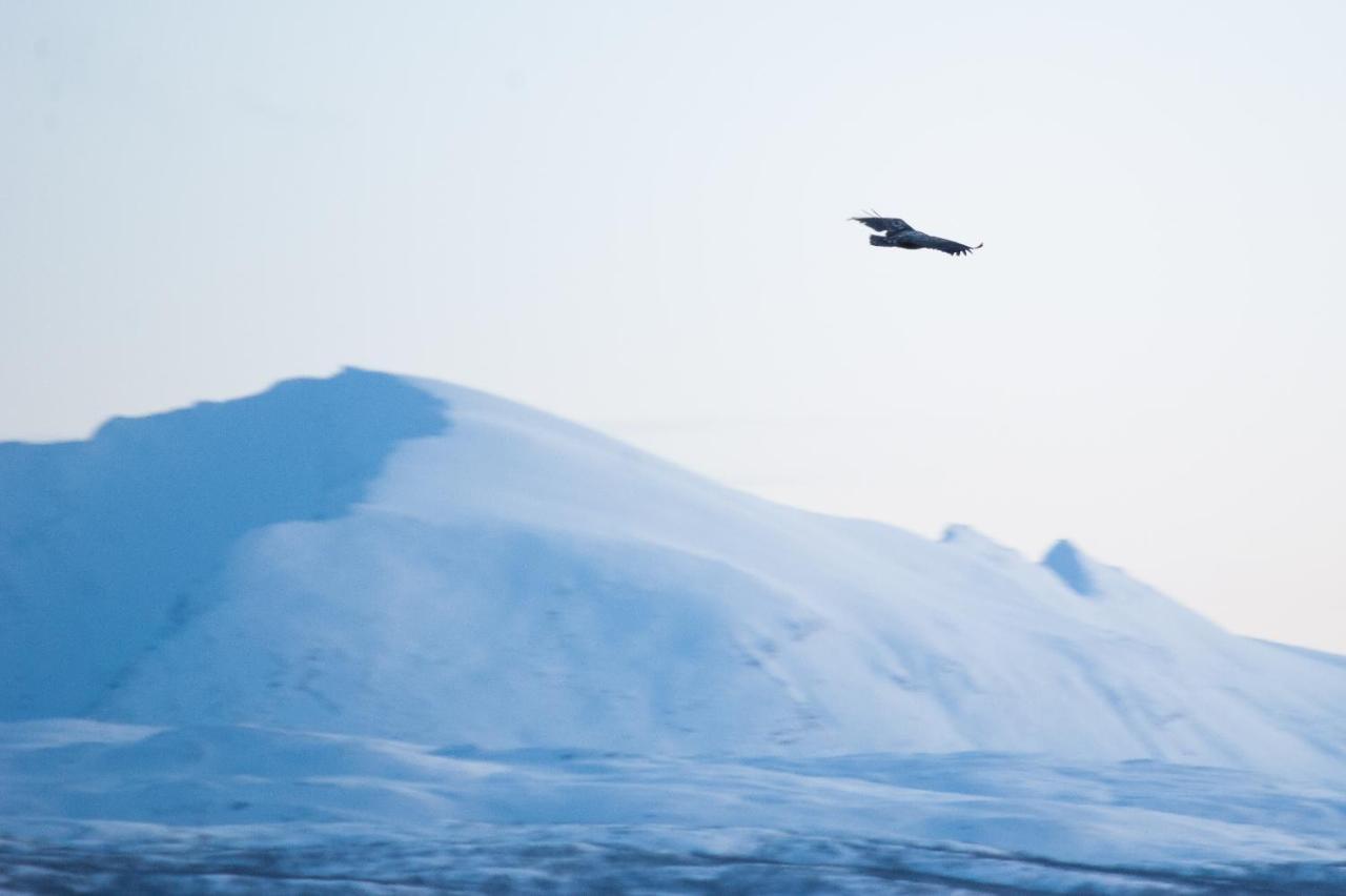 Tromso Compass North Kvaloya Apartments Kvaloysletta エクステリア 写真